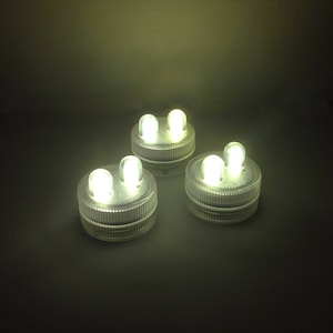 May include: Three white LED submersible lights with two lights on each. The lights are in a clear plastic casing.