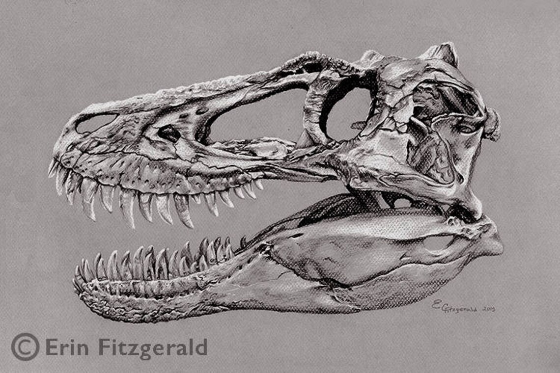 jane the t rex
