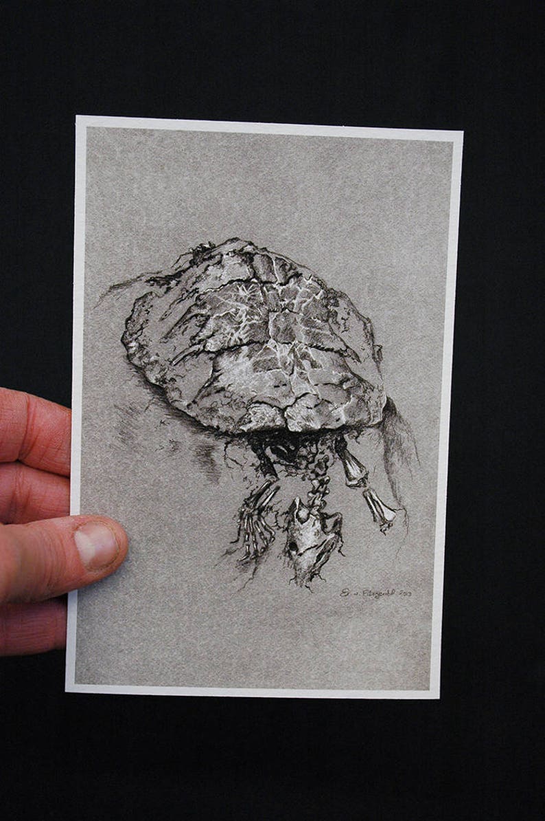 The turtle Michelangelo small print