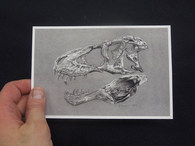 tristan the t rex