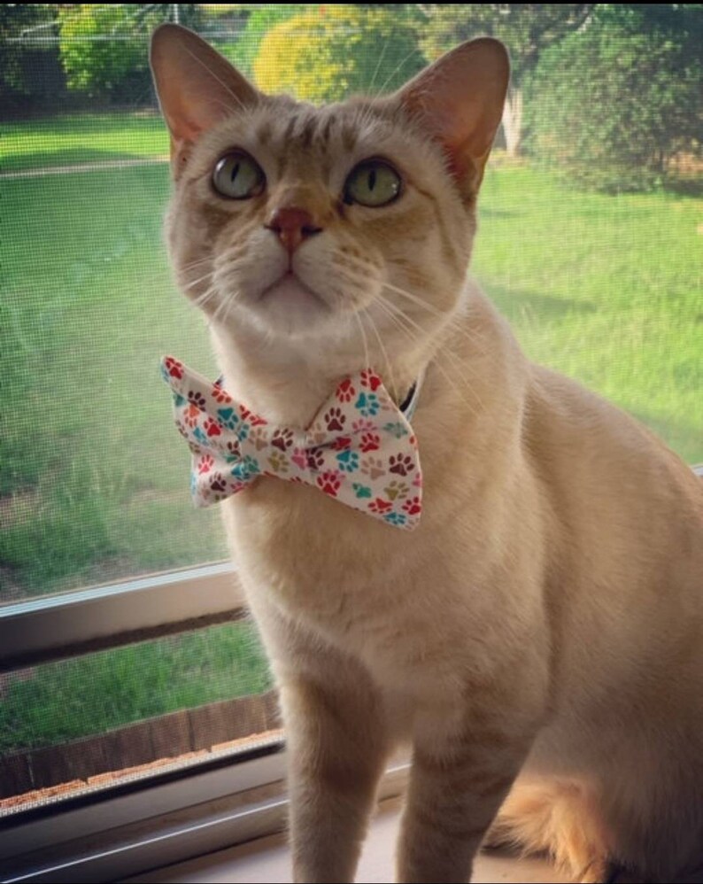 Bow Ties for Dogs Detachable Cat or Dog Bowtie Pet Bow Tie Etsy Australia