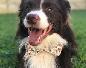 Cute Dog Bow Tie, Pet Bow Tie, Photo Outfit for Photos and Weddings, Cat Accessory, Detachable Bowtie, Gift For Friend That Has Everything