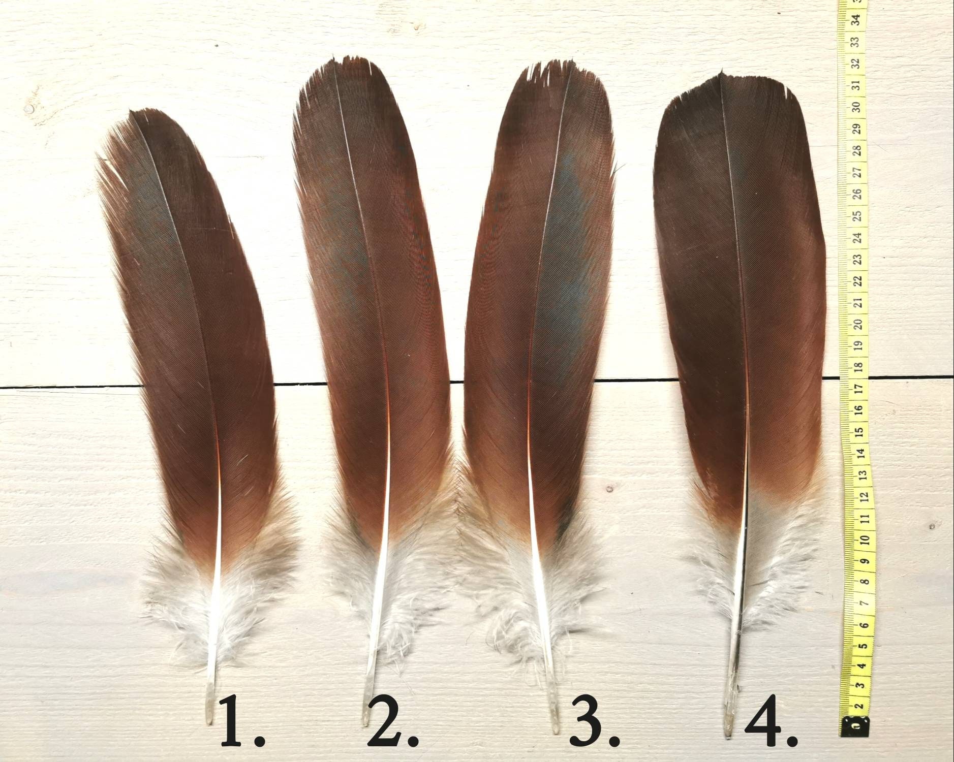 Rare Natural Eagle Feathers For Party Accessories And Jewelry Decoration Crafts 