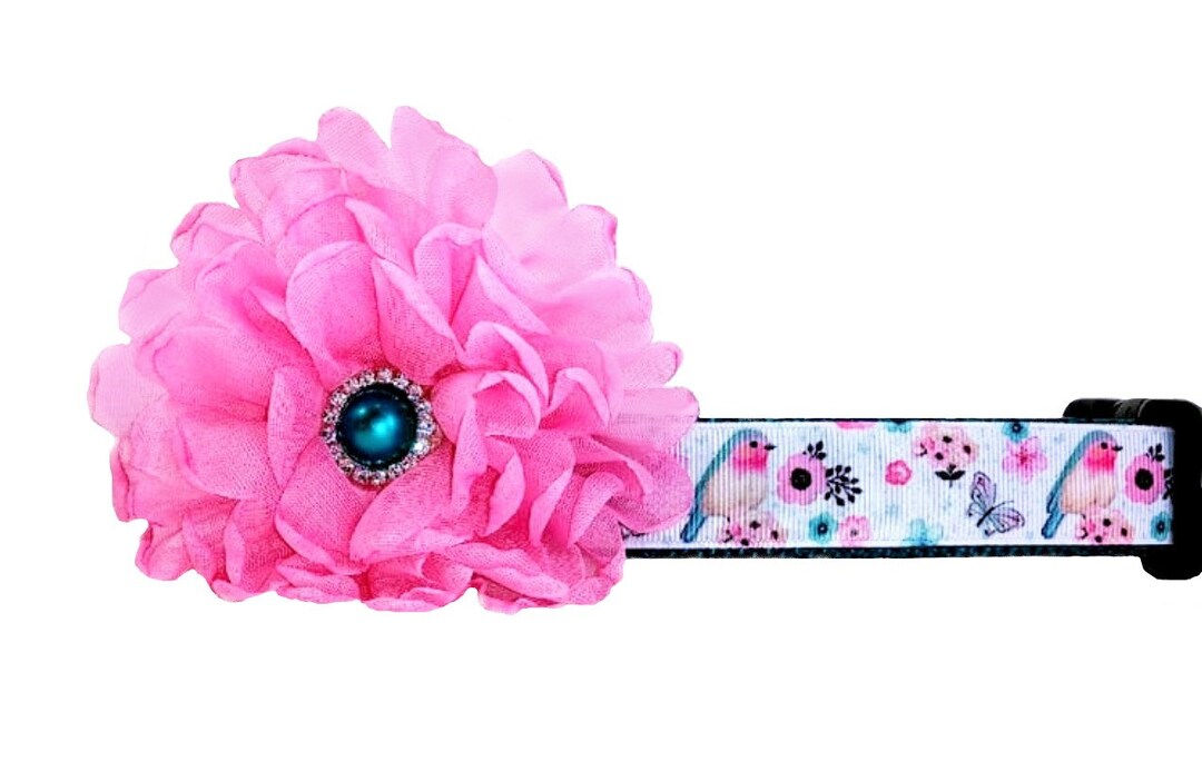 Blue Bird Dog Collar Etsy