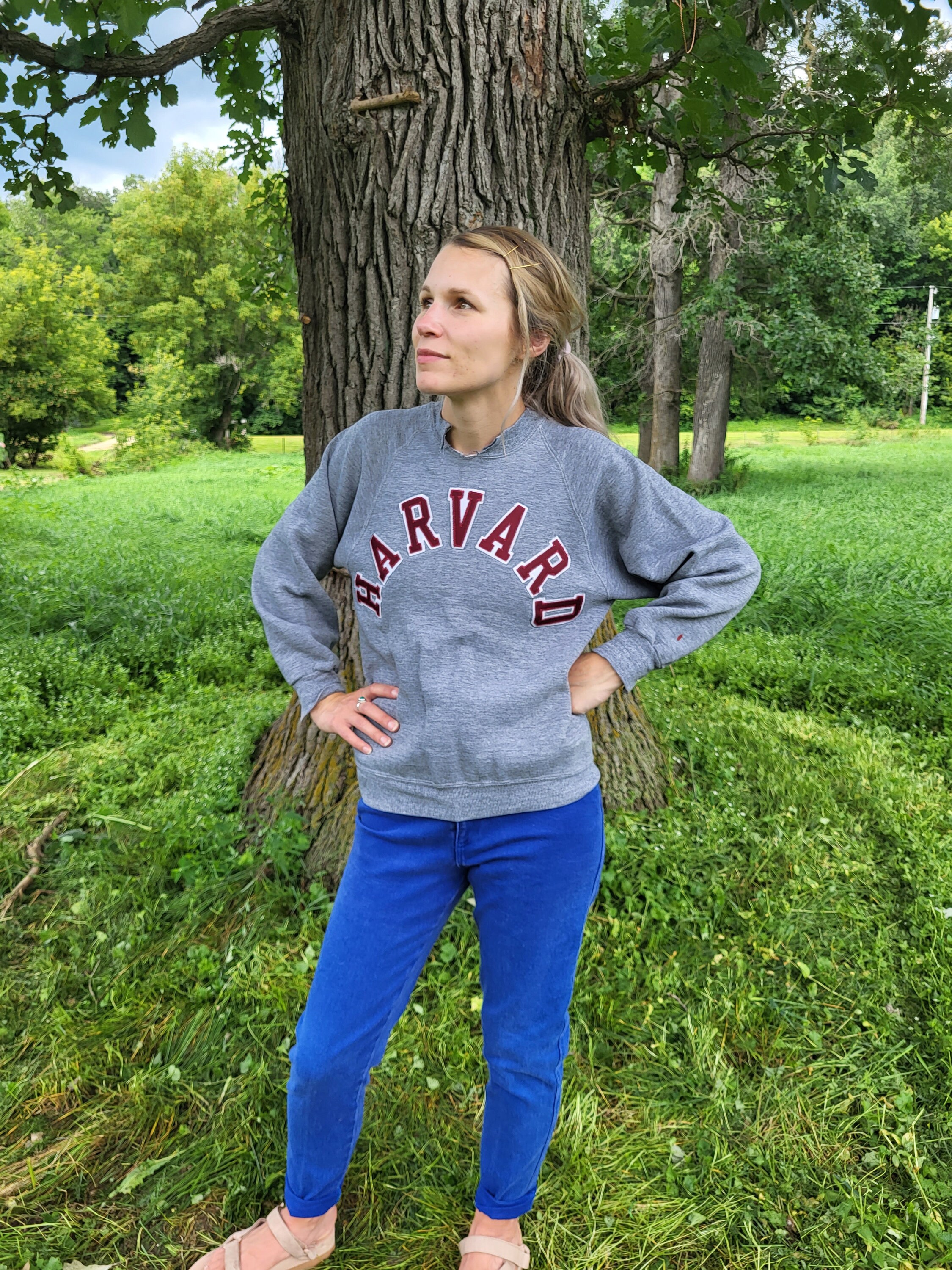 Sweatshirt Harvard Massachusetts - Design Vintage Usé, Coupe Classique, Col Tissé, 241 G, Graphic Club Inc.