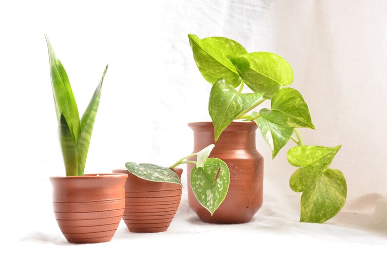 Handmade Terra-cotta vase, herb planter, Housewarming gift, Unique pottery, Hostess gift, wedding centerpiece image 7