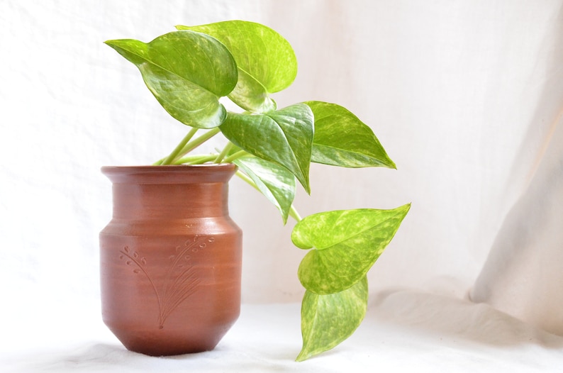Handmade Terra-cotta vase, herb planter, Housewarming gift, Unique pottery, Hostess gift, wedding centerpiece image 4