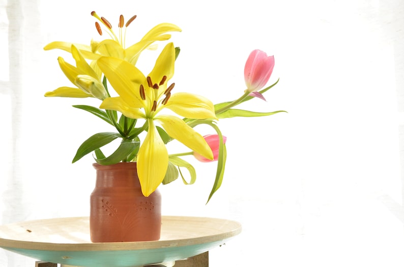 Handmade Terra-cotta vase, herb planter, Housewarming gift, Unique pottery, Hostess gift, wedding centerpiece image 1