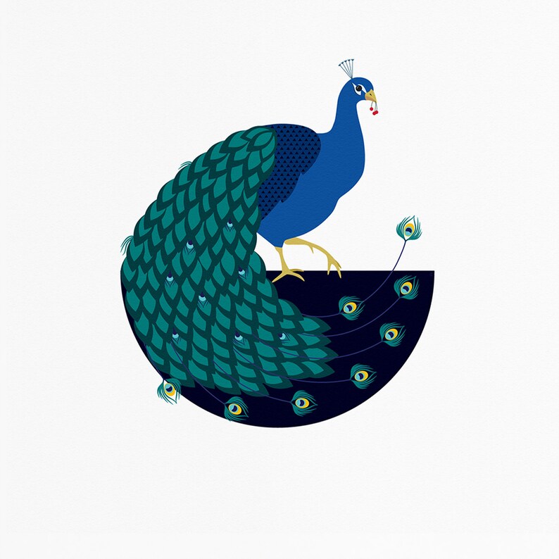 Indian Peafowl Archival Print