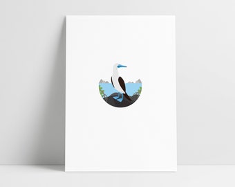 Blue Footed Booby - Archival Print