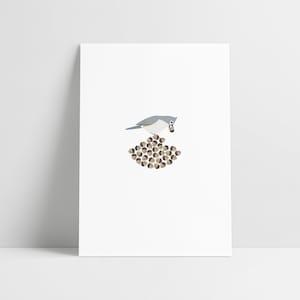 Tufted Titmouse - Archival Print