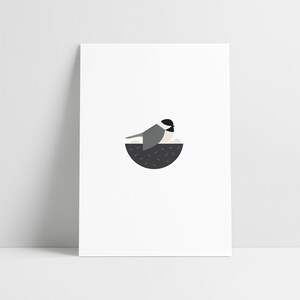Chickadee con tapa negra - Impresión de archivo