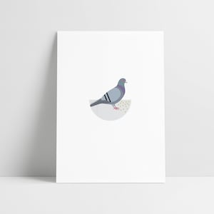 Rock Pigeon - Archival Print