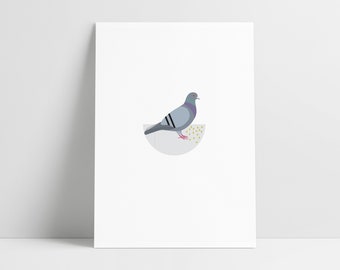 Rock Pigeon - Archival Print