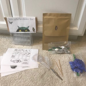 May include: A brown paper bag with a small owl illustration. A clear plastic bag with a blue balloon and two wooden sticks. A magnifying glass, a pair of tweezers, and a sheet of paper with a grid and illustrations of bones. A clear plastic container with small compartments. A brown paper bag with the text "Bone collection shadow box" and an illustration of a cat and an owl.
