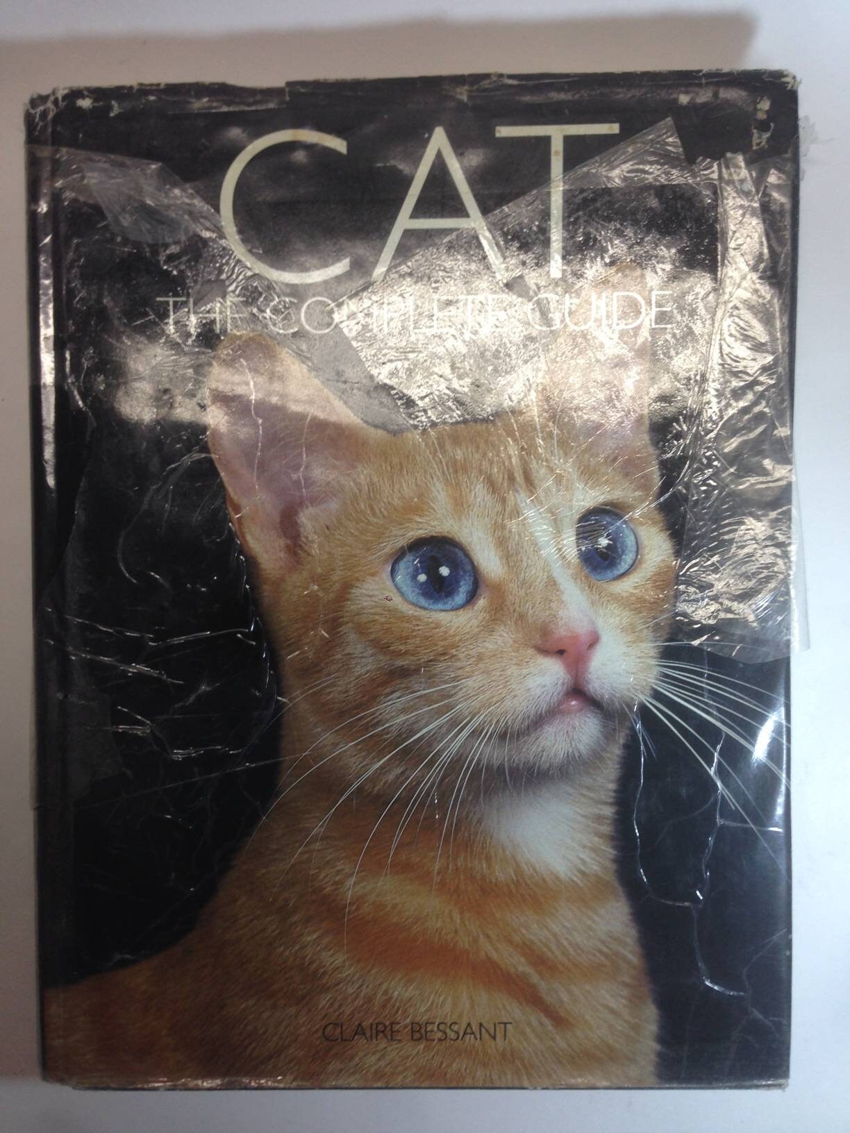 A 90s Book CAT The COMPLETE GUIDE by Claire Bessant;Team Media, Ltd.;Barnes & Noble, Inc.;Louise Tucker;Elizabeth Tatham;Poulton;Wilkinson