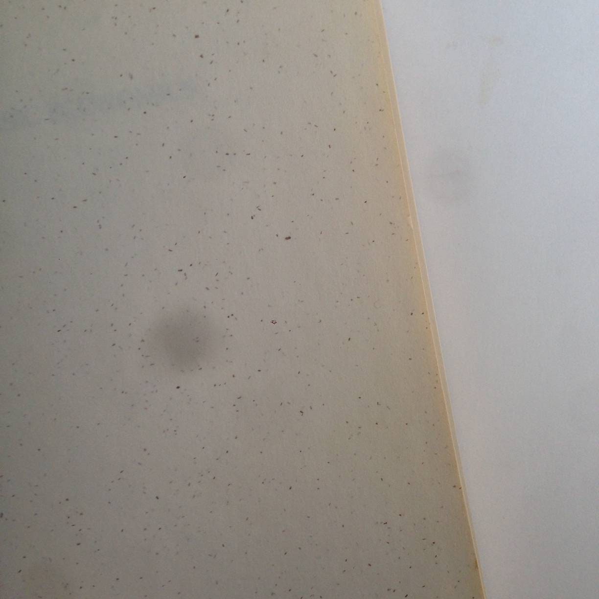 A Collectible Book BASIC ECONOMICS A Citizen's Guide to Etsy UK