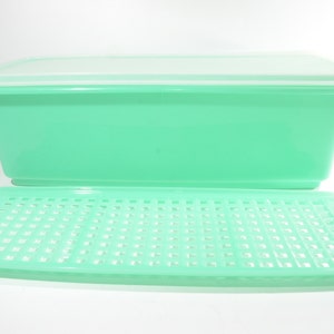 Vintage TUPPERWARE green Celery Keeper crisper grate and lid 784 783 782 Tupper Seal 1970s classic container ot