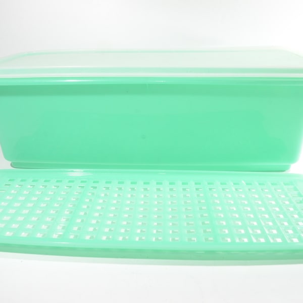 Vintage TUPPERWARE green Celery Keeper crisper grate and lid 784 783 782 Tupper Seal 1970s classic container