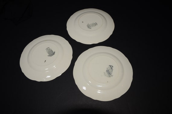 UNICORN 6 dessert plate Staffordshire plate Thomas Hughes /& Son LTD Bone China bread Vintage,burgundy,pink roses Set of 3 Antique