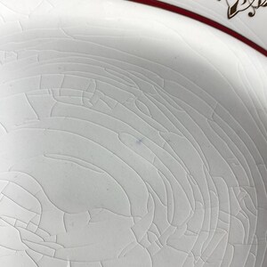 May include: Close-up of a white ceramic plate with a cracked, crazed glaze. The plate has a red border and a decorative brown pattern around the rim. The surface shows fine cracks.