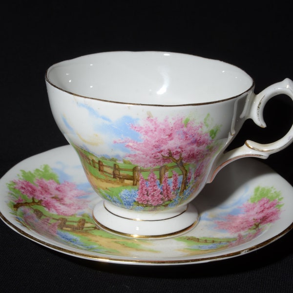 Ensemble tasse à thé et soucoupe Meadowside QUEEN ANNE, porcelaine fine, bordures dorées, Angleterre vintage, paysages roses fleuris et fleuris