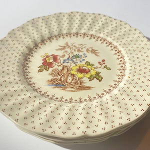 Op de afbeelding: Een stapel crèmekleurige borden met een geschulpte rand en een bloemenontwerp. De borden hebben een herhalend patroon van kleine bruine stippen. Het midden van de borden heeft een gedetailleerde illustratie van bloemen in rood, geel en blauw.