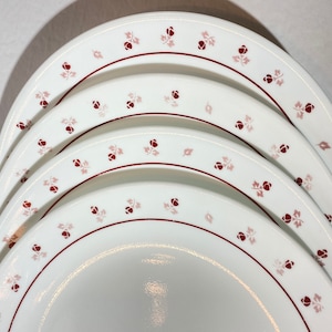 May include: A stack of white ceramic plates with a floral rose pattern. Each plate has a maroon border and is decorated with small maroon and pink rose motifs. The plates are arranged in a slightly overlapping fan shape.