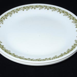 Op de afbeelding: Een stapel van drie witte Corelle-borden. Elk bord heeft een decoratieve rand van kleine, olijfgroene bloemclusters. De borden zijn rond en lijken gemaakt van een duurzaam materiaal, geschikt voor dagelijks gebruik.