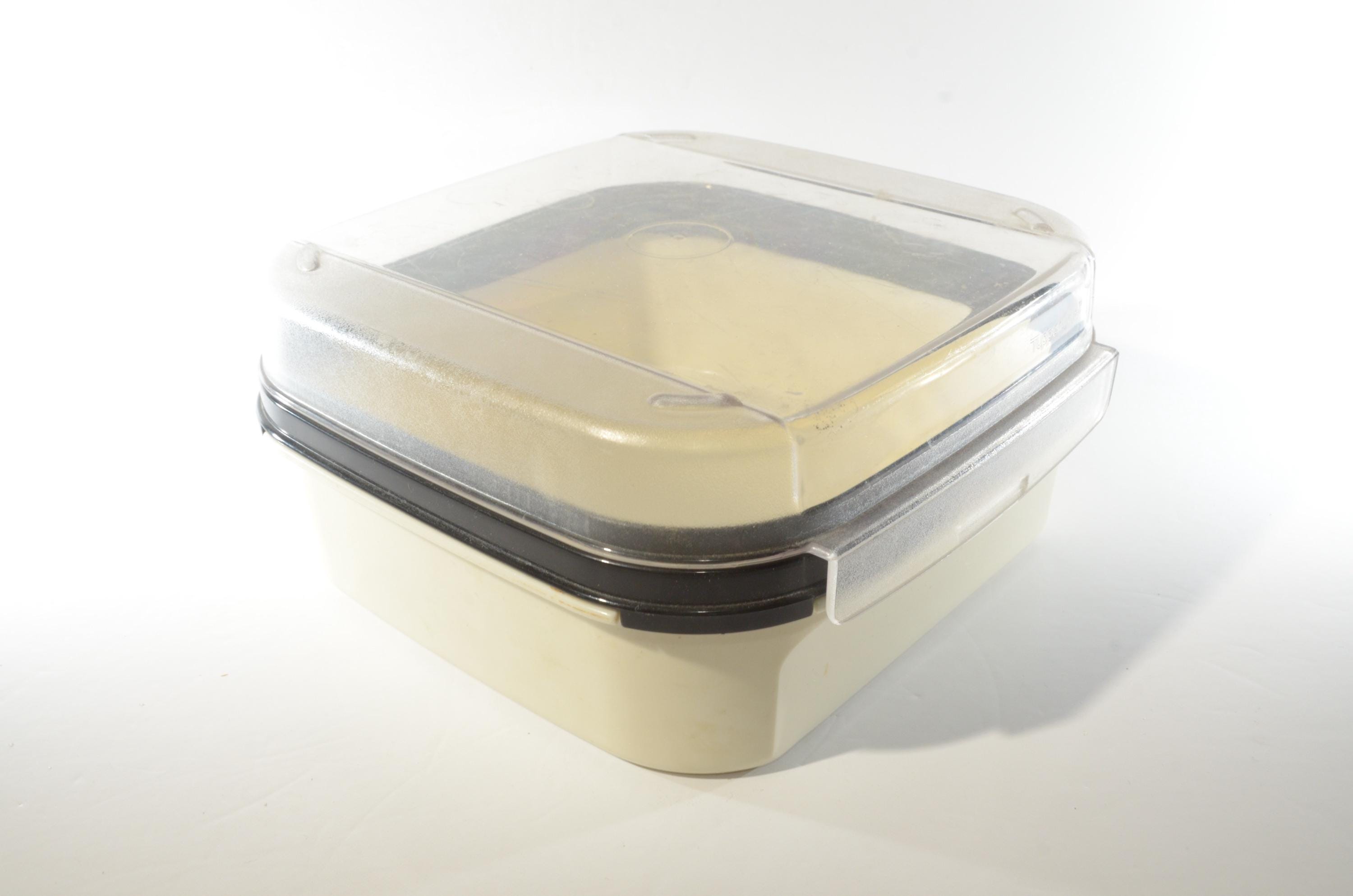 おちてたたっぱー il_fullxfull.6138960358_mkjc.jpg