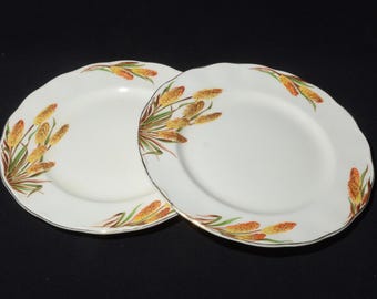 Grindley Cream Petal Dinner Plate Portman 9 Inches Ironstone
