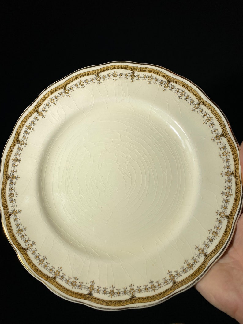 Set of 2 Grindley Cream Petal lunch plate Portman 8 inches ironstone vintage Staffordshire gold rope band England petalware cream CRAZING image 8