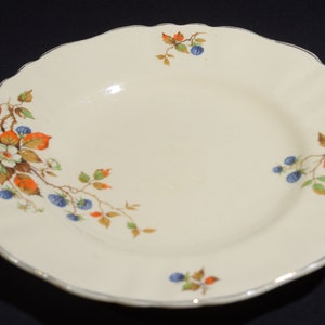 Vintage Sunshine Sol J & G Meakin Kuchenteller Bone China England Brombeere multicolor Laubblatt Herbst 561073
