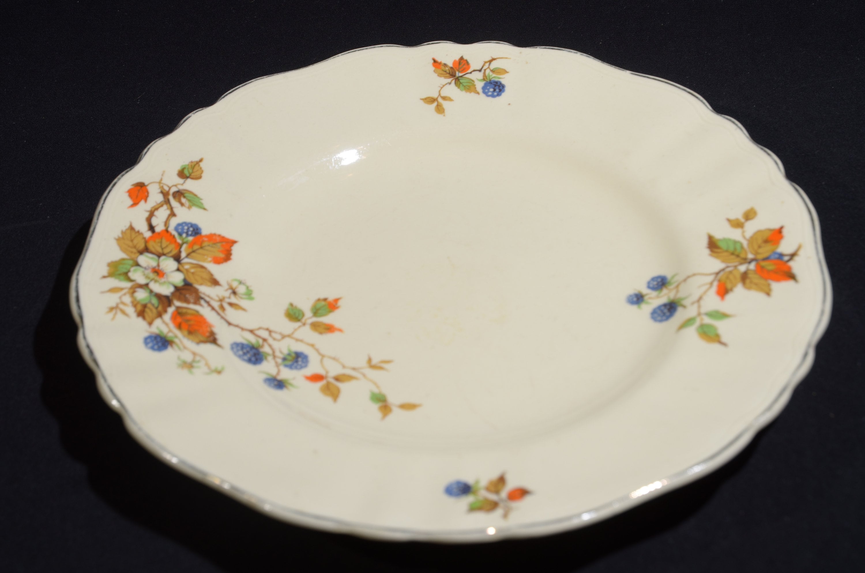 Vintage Sunshine Sol J&G Meakin Plate Dinner Plate Bone China