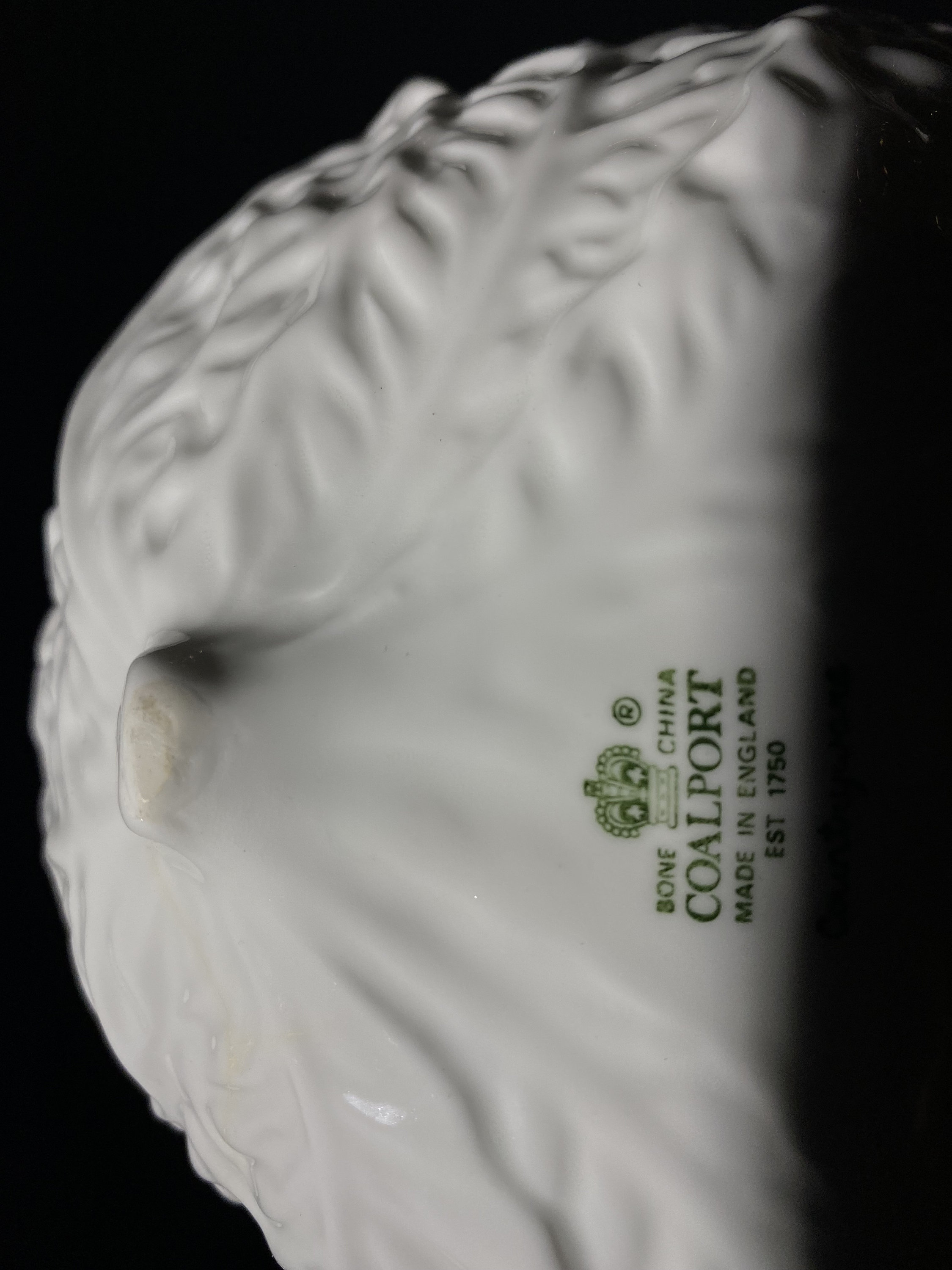Coalport: A quality cup & saucer painted by Cecil Jones