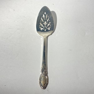 Vintage WM. A. Rogers Oneida Ltd Park Lane Chatelaine Dowry Silverplate cake serving slotted Spoon flatware classic serving utensil ON288
