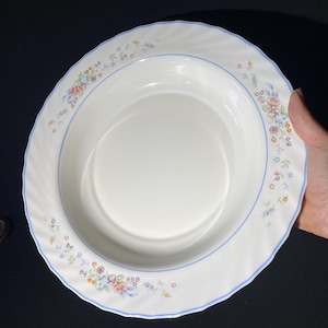 May include: White ceramic soup bowl with a floral pattern and a light blue border. The rim has a wavy design. The floral pattern includes pink, blue, and yellow flowers. The bowl is held by a hand.
