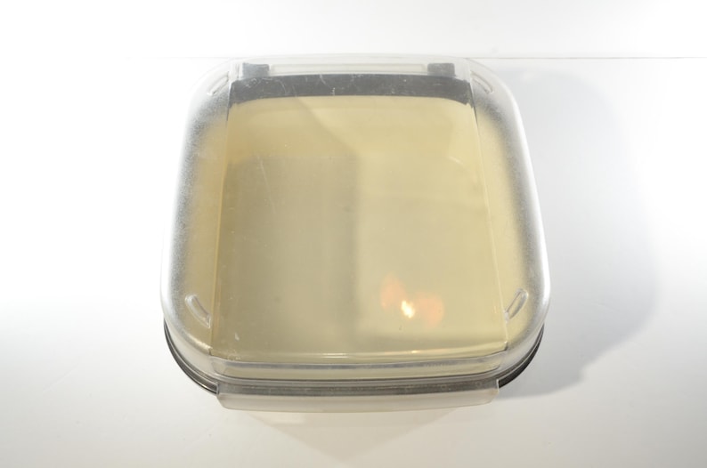 Tupperware Open Container TUPPERWARE Modular Mates #1 Square Ivory Canister Storage Easy Open ...