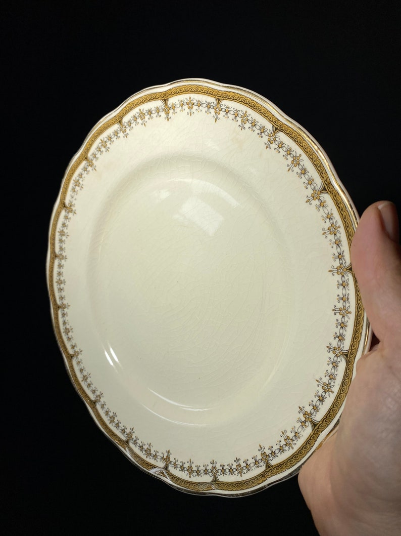 Set of 2 Grindley Cream Petal lunch plate Portman 8 inches ironstone vintage Staffordshire gold rope band England petalware cream CRAZING image 5