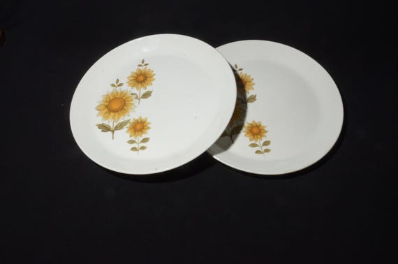 Set of 2 Johnson Brothers Dinner Plate 10 Inches Ironstone Vintage