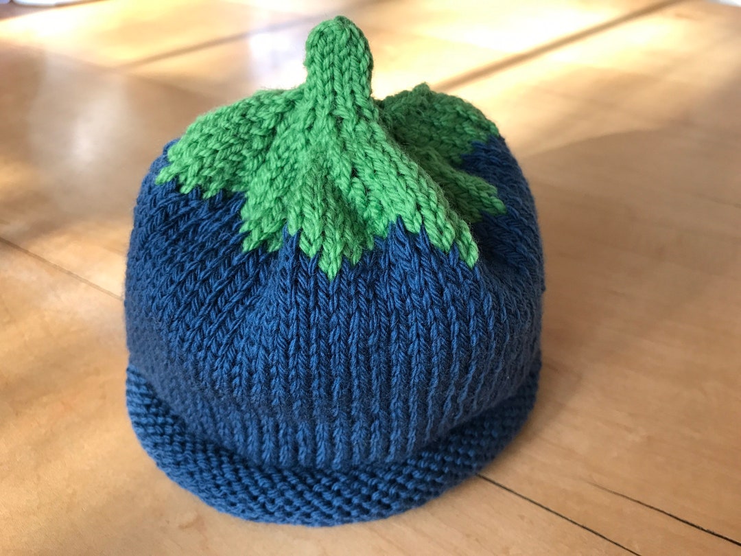 Maine Blueberry Baby Hat Perfect Baby Shower Gift 3 to 6 Month Size Etsy