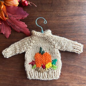 May include: A small, beige knitted sweater with a hand-embroidered pumpkin design. The sweater is hanging on a wire hanger.