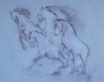 Rearing horses - original charcoal drawing