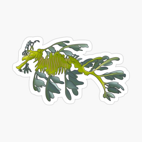 Leafy sea dragon sticker, vinyl waterproof, water bottle decor, laptop vinyl, car sticker, whale lovers