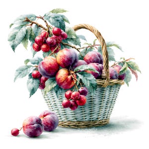 May include: A light blue woven basket filled with ripe peaches and clusters of red cherries on leafy branches. Two additional peaches and a single cherry rest on the surface in front of the basket. The image features a repeating watermark text.