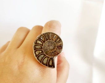 Ammonite Fossil Silver Statement Ring Handmade Size 8.5