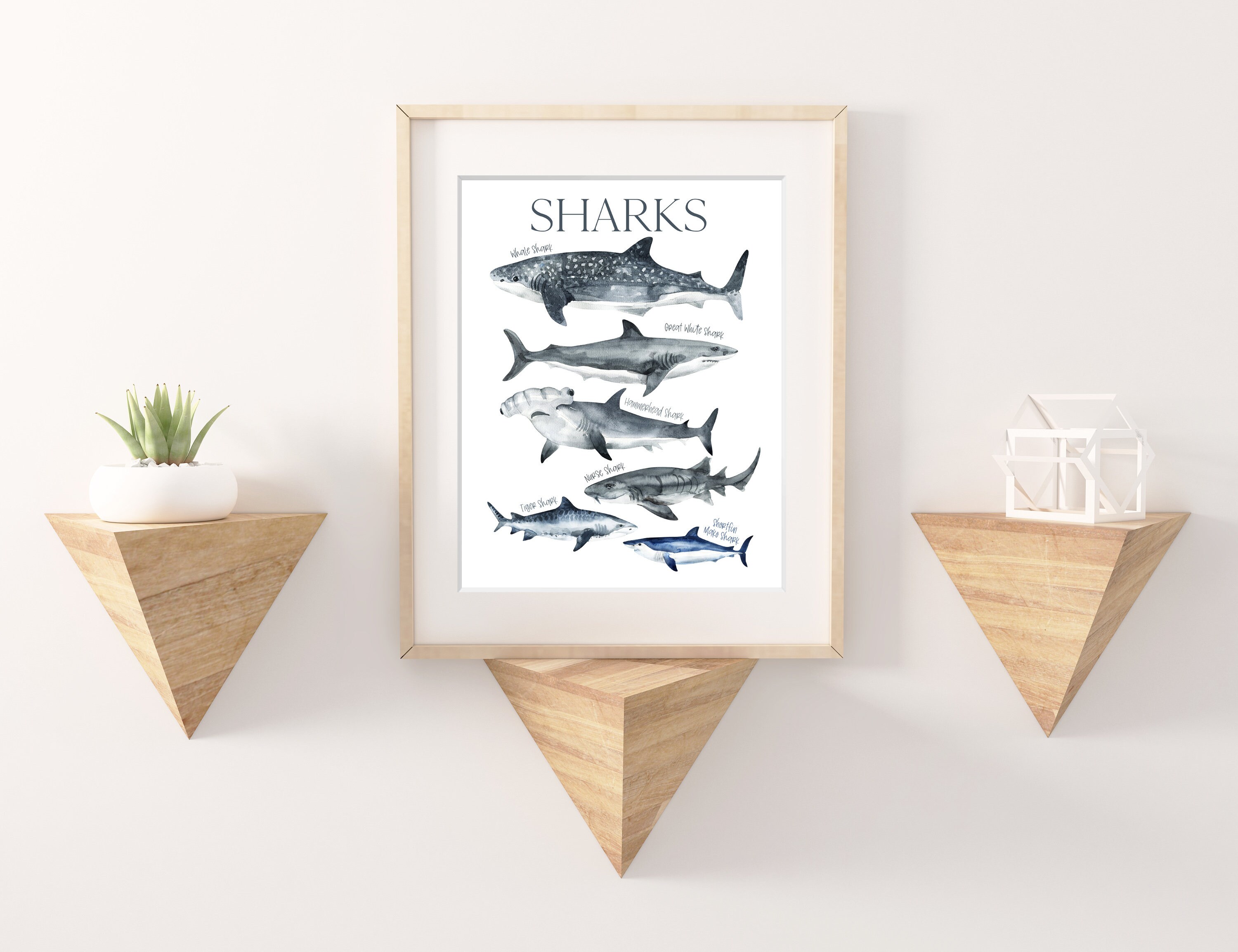 Sharks Art Print Shark Types Poster Navy Grey Sea Ocean | Etsy UK