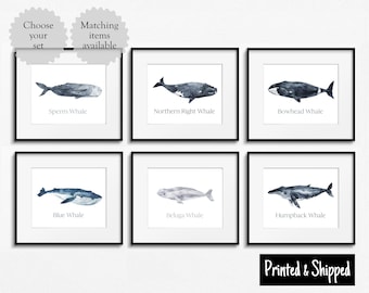 Whales Print Set Watercolour Whale Name Species Wall Art Ocean Sea Animal Themed Neutral Grey Blue Elegant Kids Nursery 5x7 6x8 8x10 A4