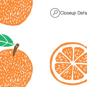 May include: A close-up detail of a stylized orange with a green leaf. The orange is depicted in a textured, hand-drawn style, with a segmented slice of the orange shown below.