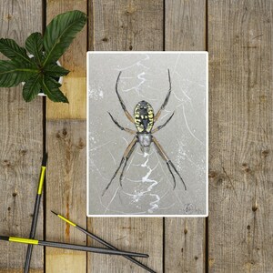 Spider Print, Spider Lover Gift, Bug Print, Art Print, Gouache Art